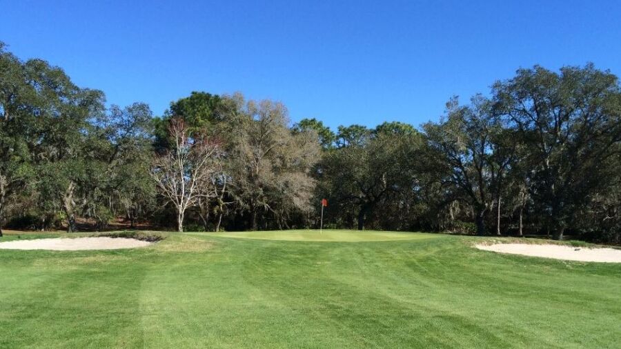 Heather GCC: #1