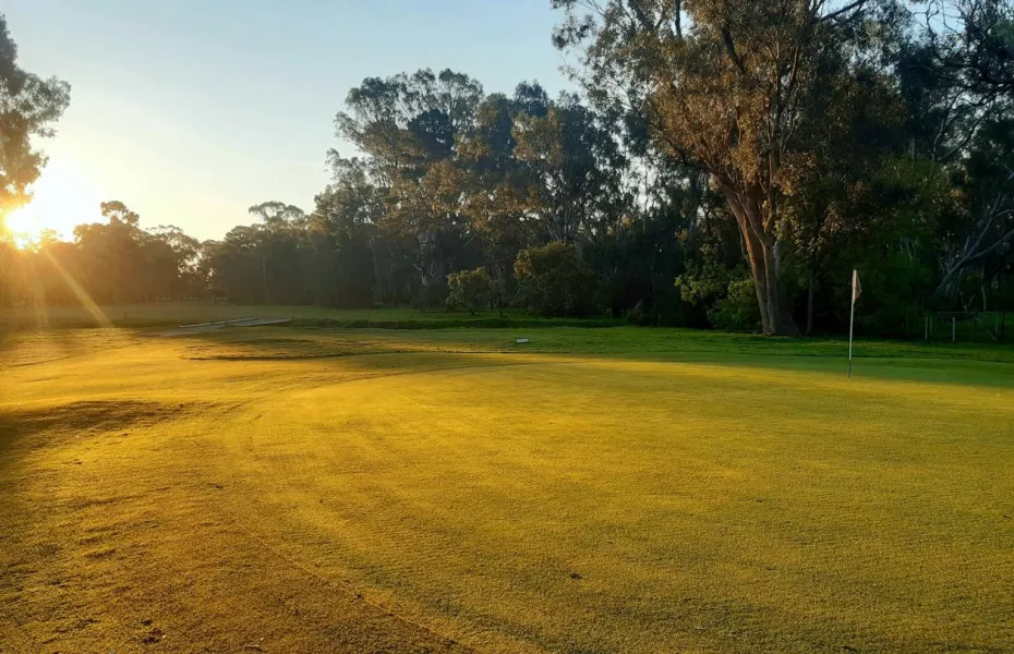 Euroa GC: #11