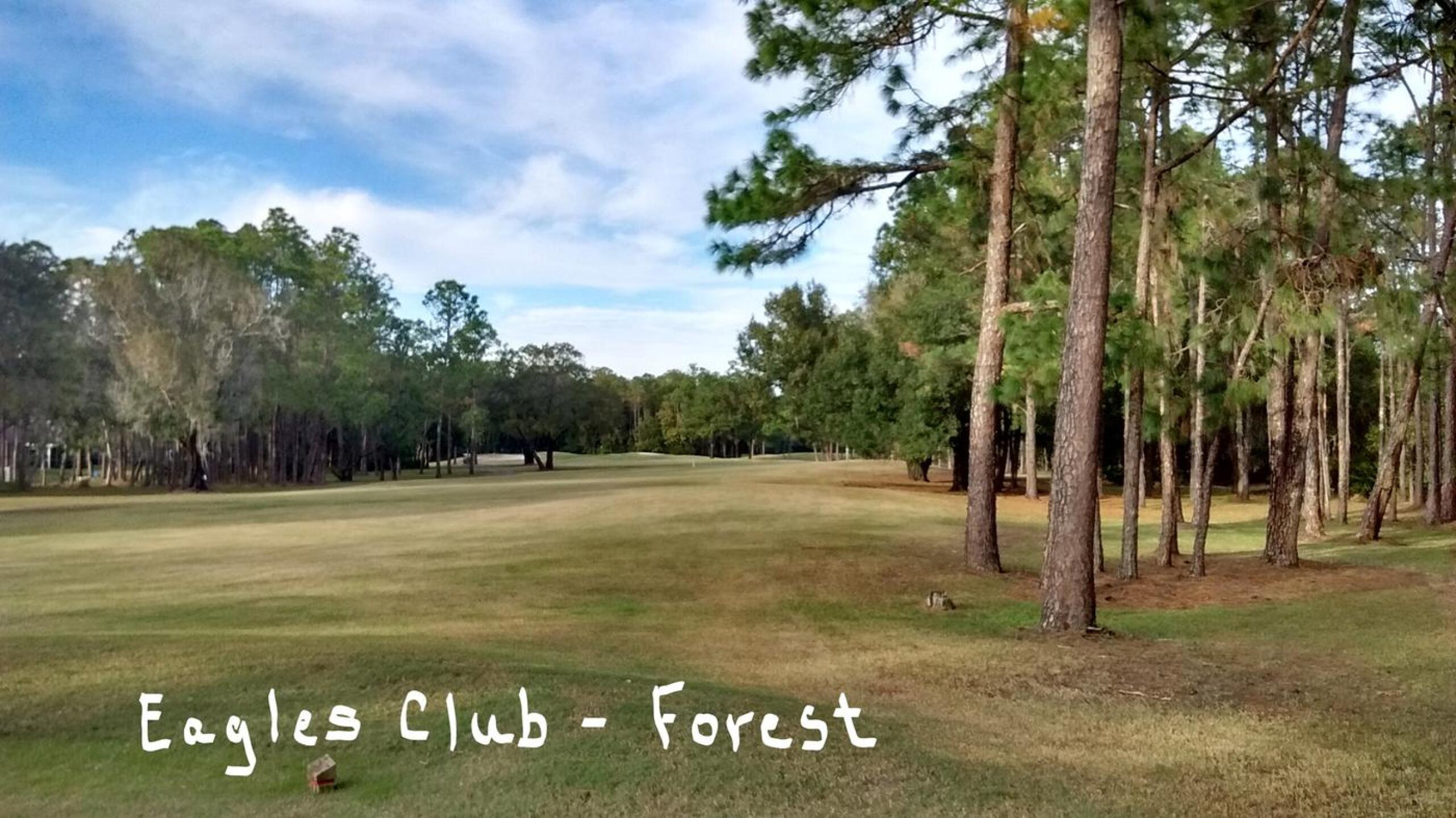 (Photo submitted by extennisnowgolfer on 12/17/2016)