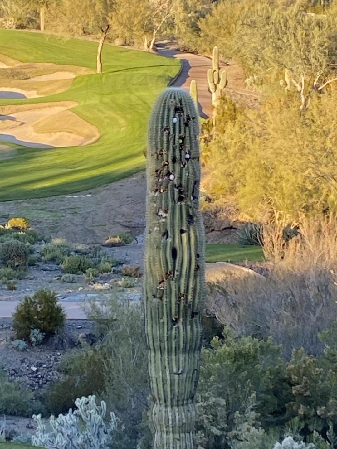 (Photo submitted by u314160799261 on 12/21/2022)