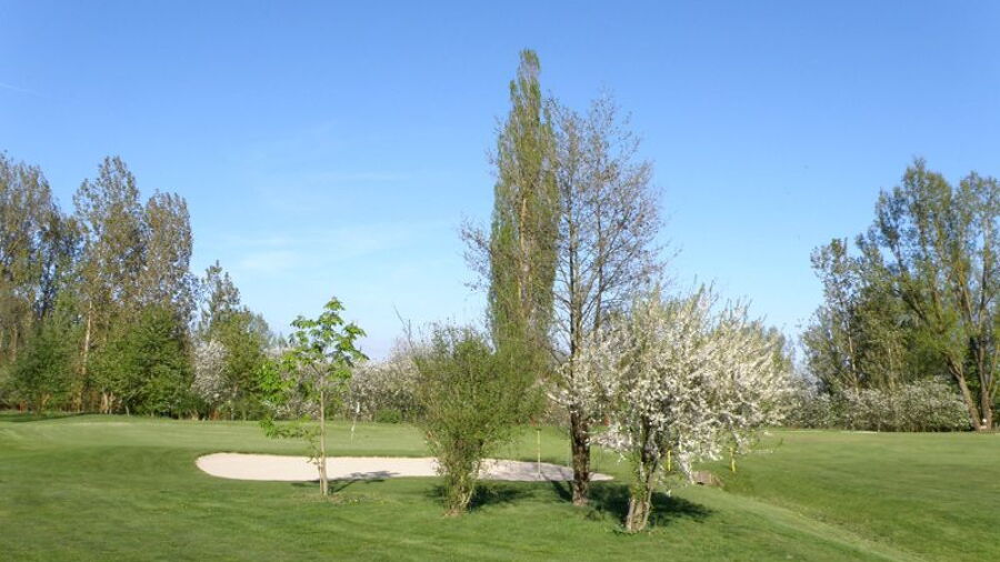 Straubing Stadt G & CC – Championship: #14