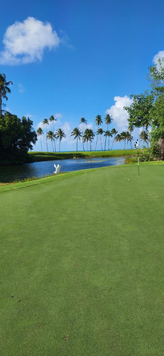 (Photo submitted by Rob6354105 on 03/17/2024)