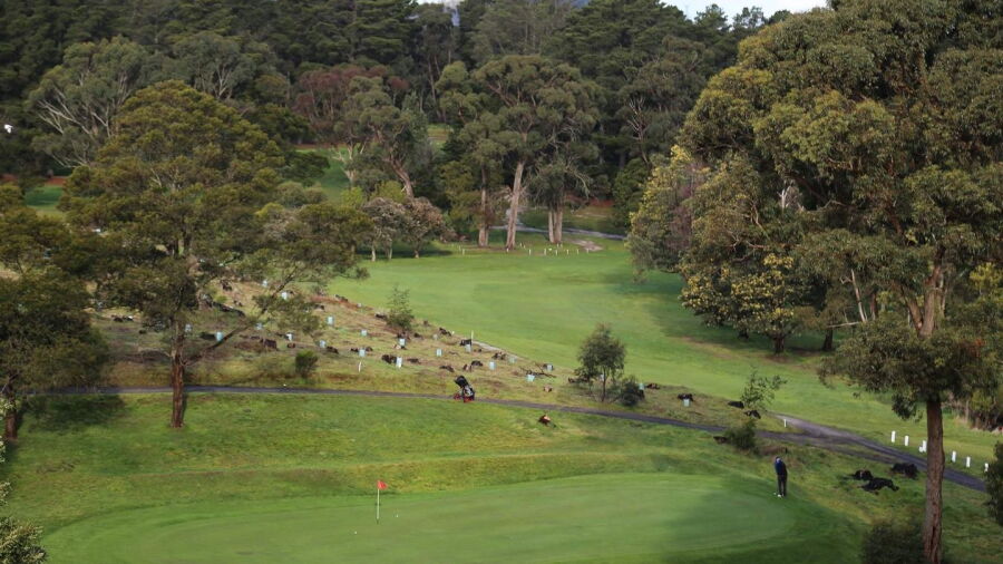  Mount Xavier GC