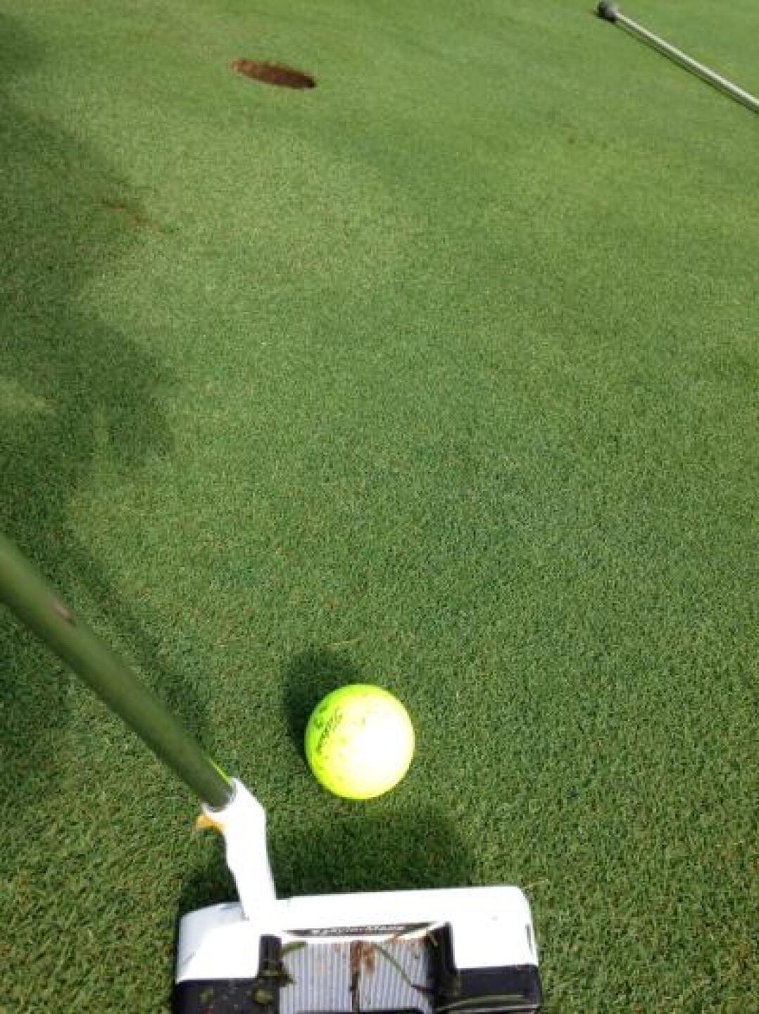 Really great greens (Photo submitted by MatthewFromDurham on 07/24/2014)