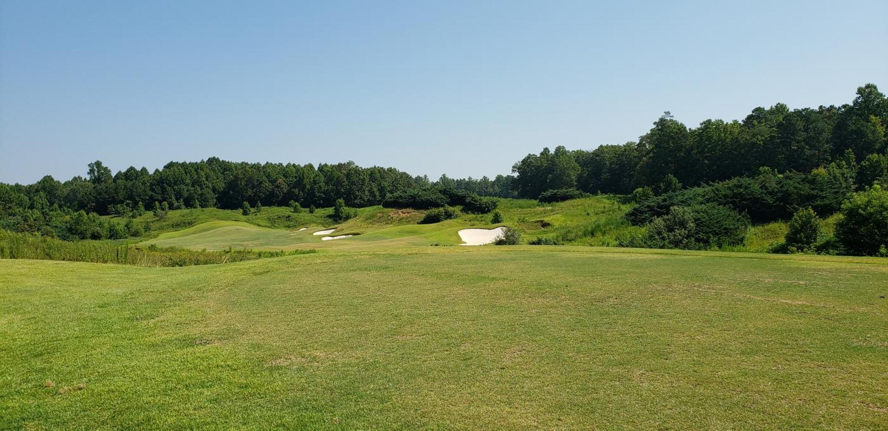 (Photo submitted by u685532976 on 07/28/2020)