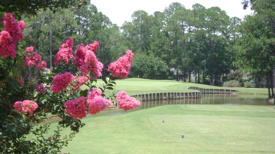 Gulf Shores GC