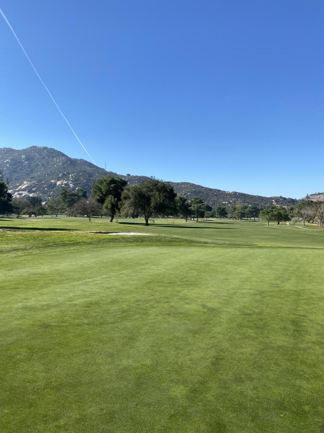 (Photo submitted by mnrbel on 01/04/2021)