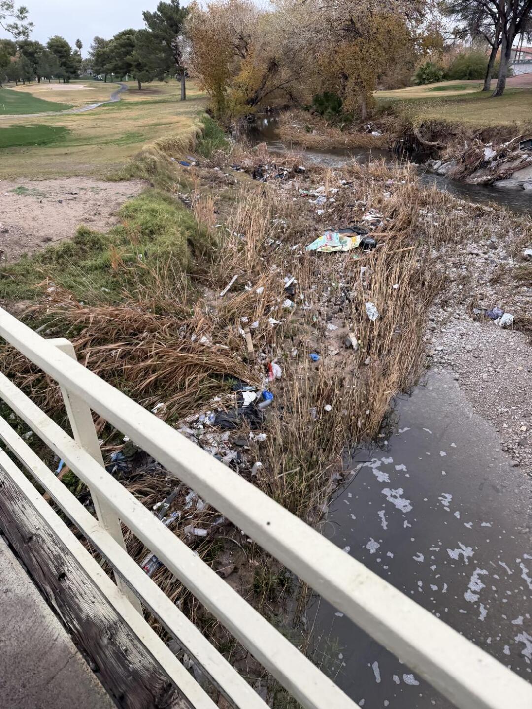 (Photo submitted by ninelivesjohnny on 01/01/2026)