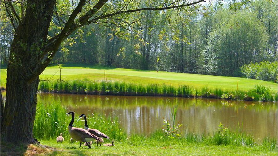 Huenxerwald GC