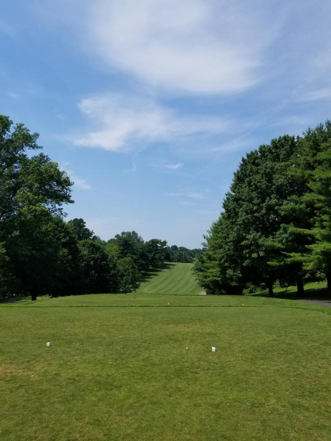 (Photo submitted by TLiberatore on 07/01/2019)