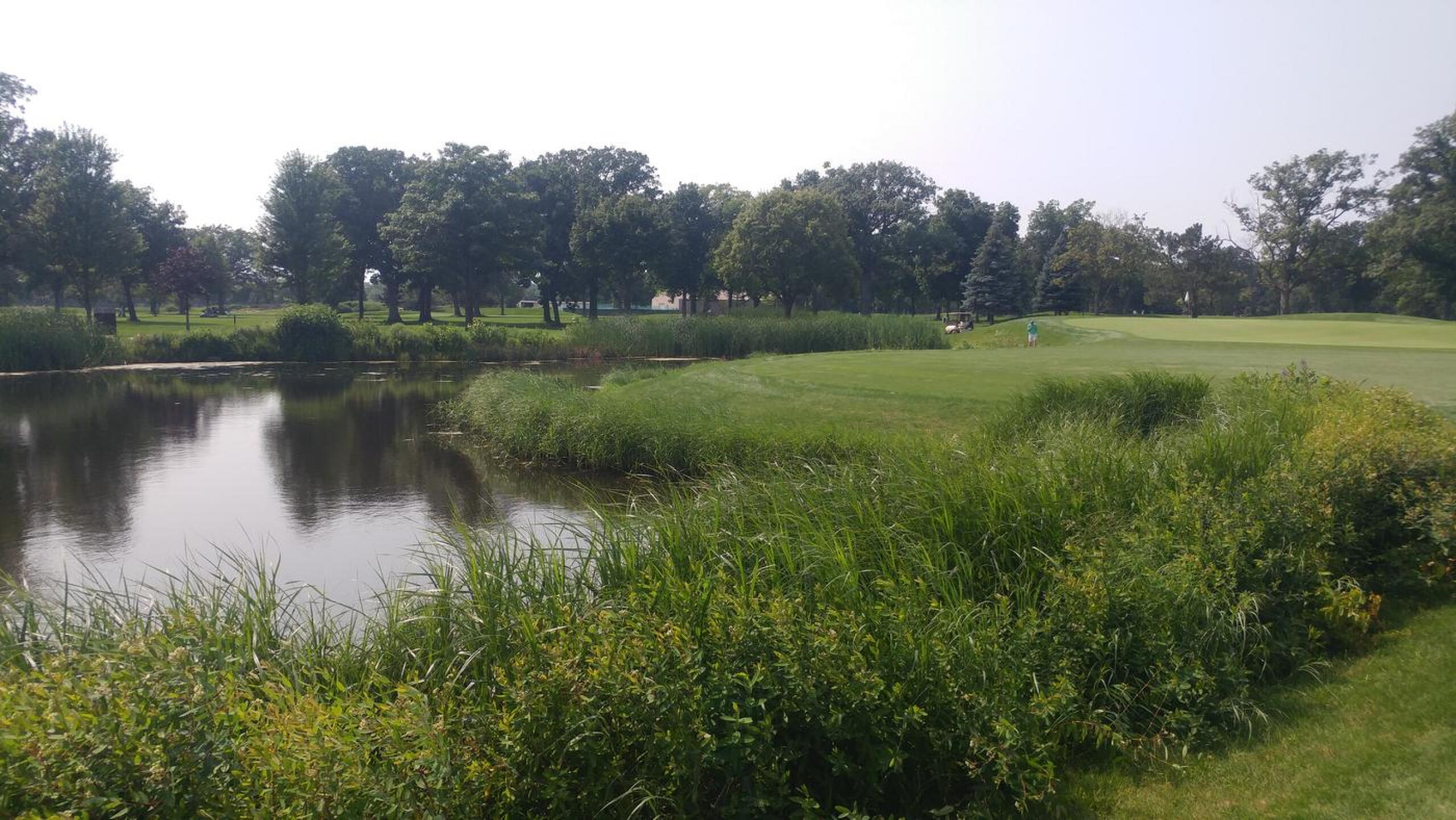 Water hazard (Photo submitted by jsaintomer on 07/20/2021)