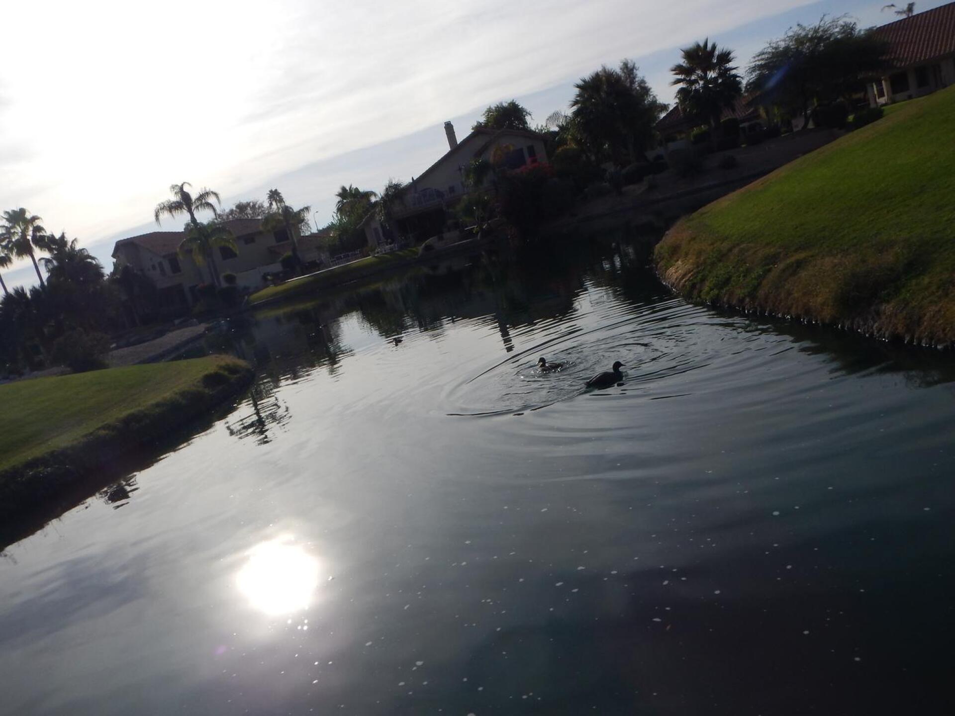 (Photo submitted by bri4444 on 12/11/2016)