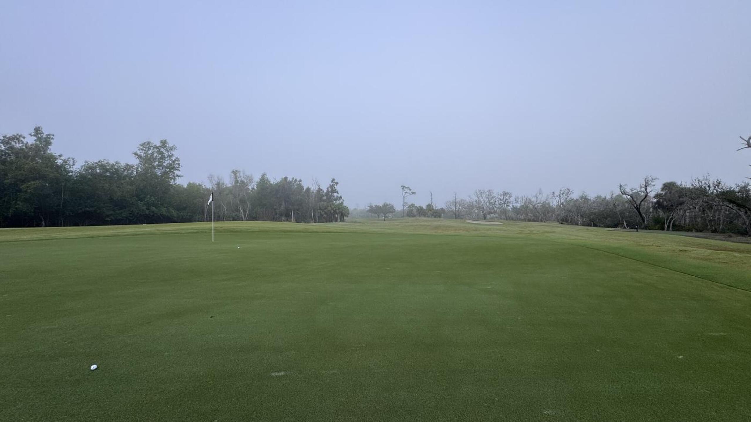 (Photo submitted by Pthaus25 on 01/24/2026)