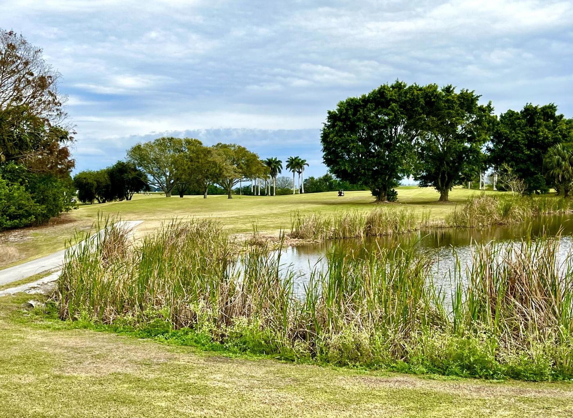 (Photo submitted by jorden17 on 01/17/2025)