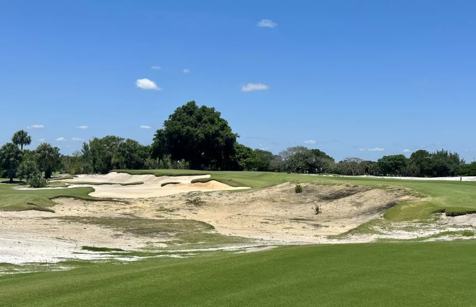 The Park West Palm: #17