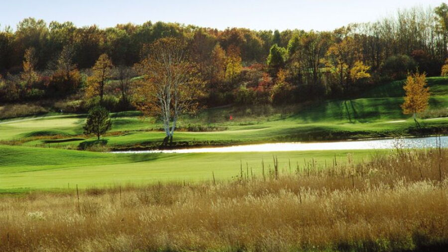 Egg Harbor - The Orchards