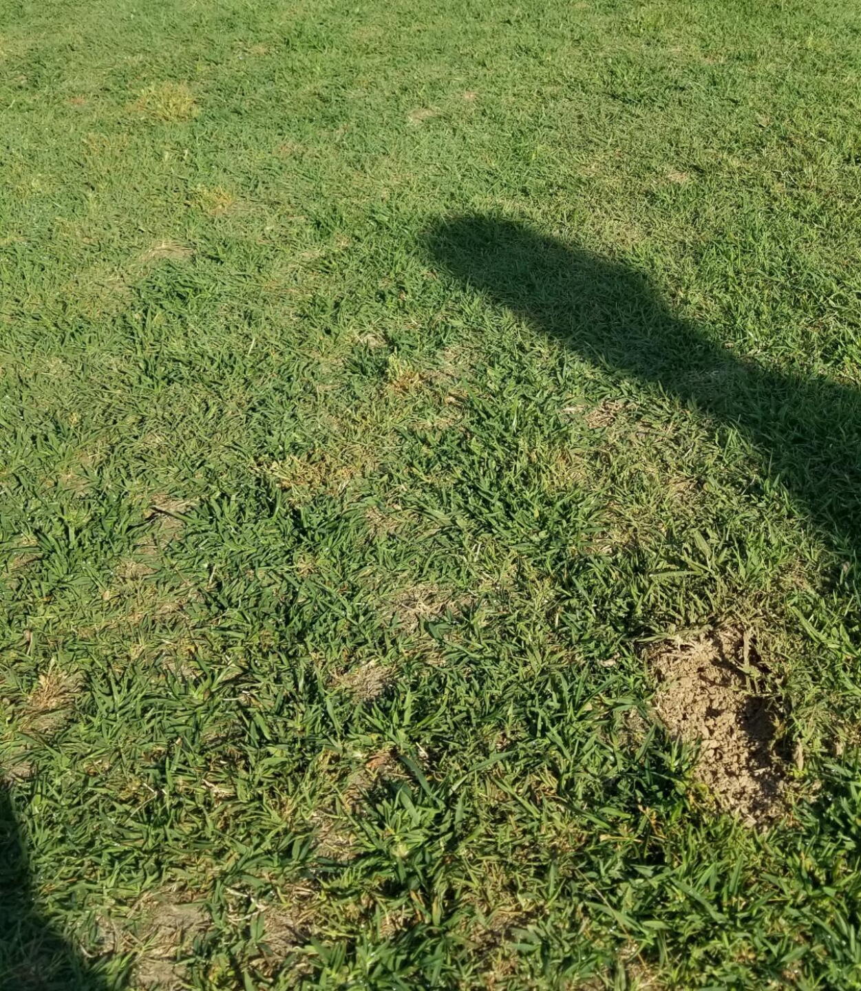 #4 fairway (Photo submitted by ShortKnocker1 on 05/27/2019)