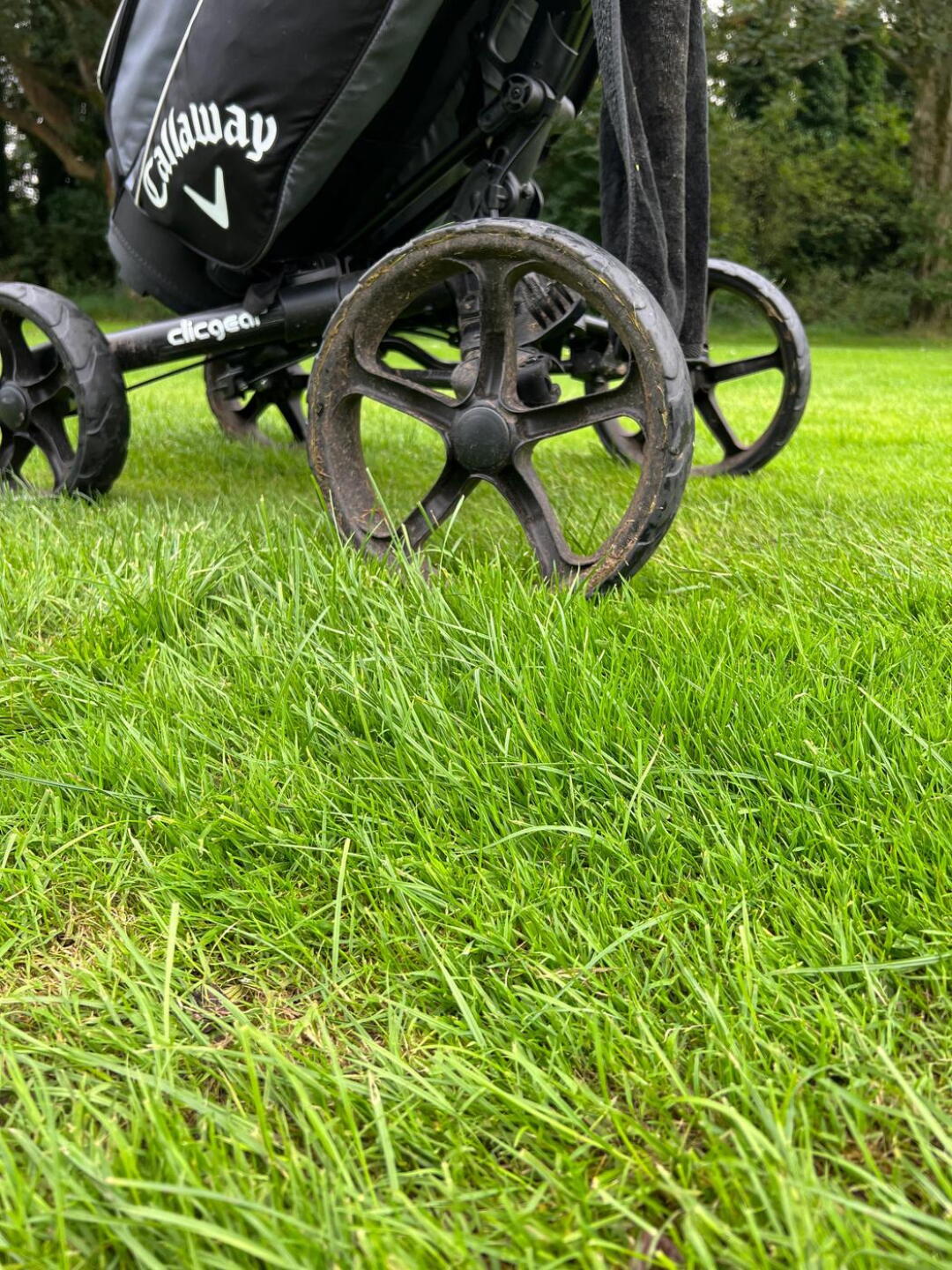 'Fairway' (Photo submitted by u314161869878 on 09/18/2023)