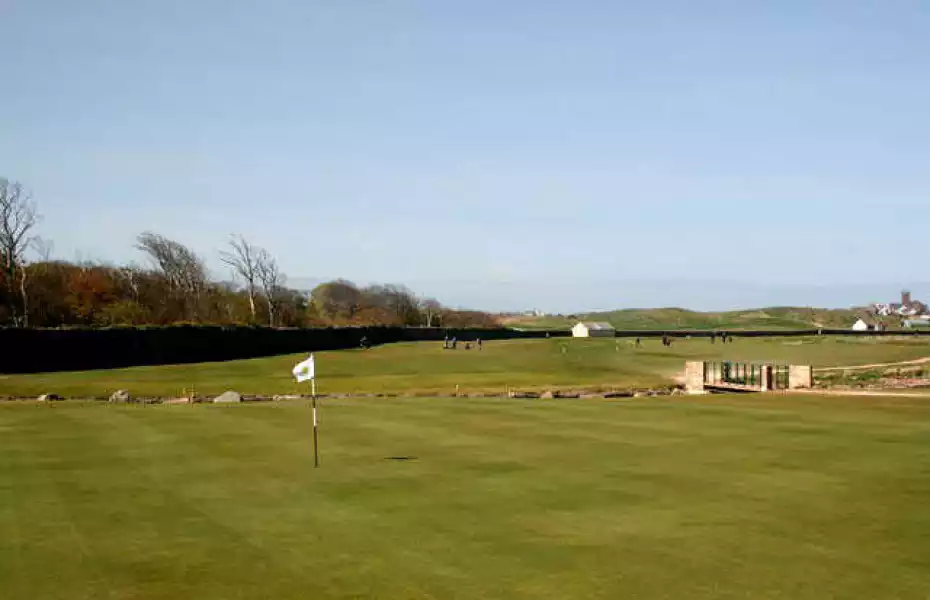Dunbar Golf Club - Deer Wall