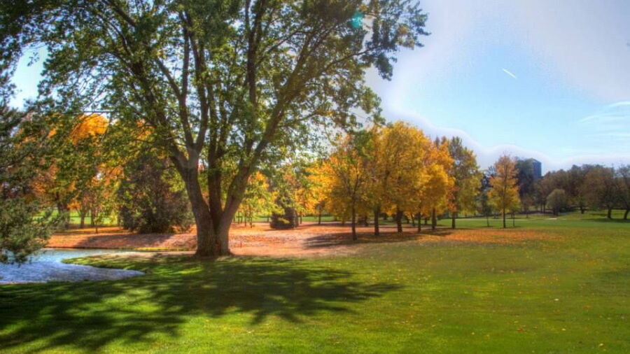 Albion CC: #1