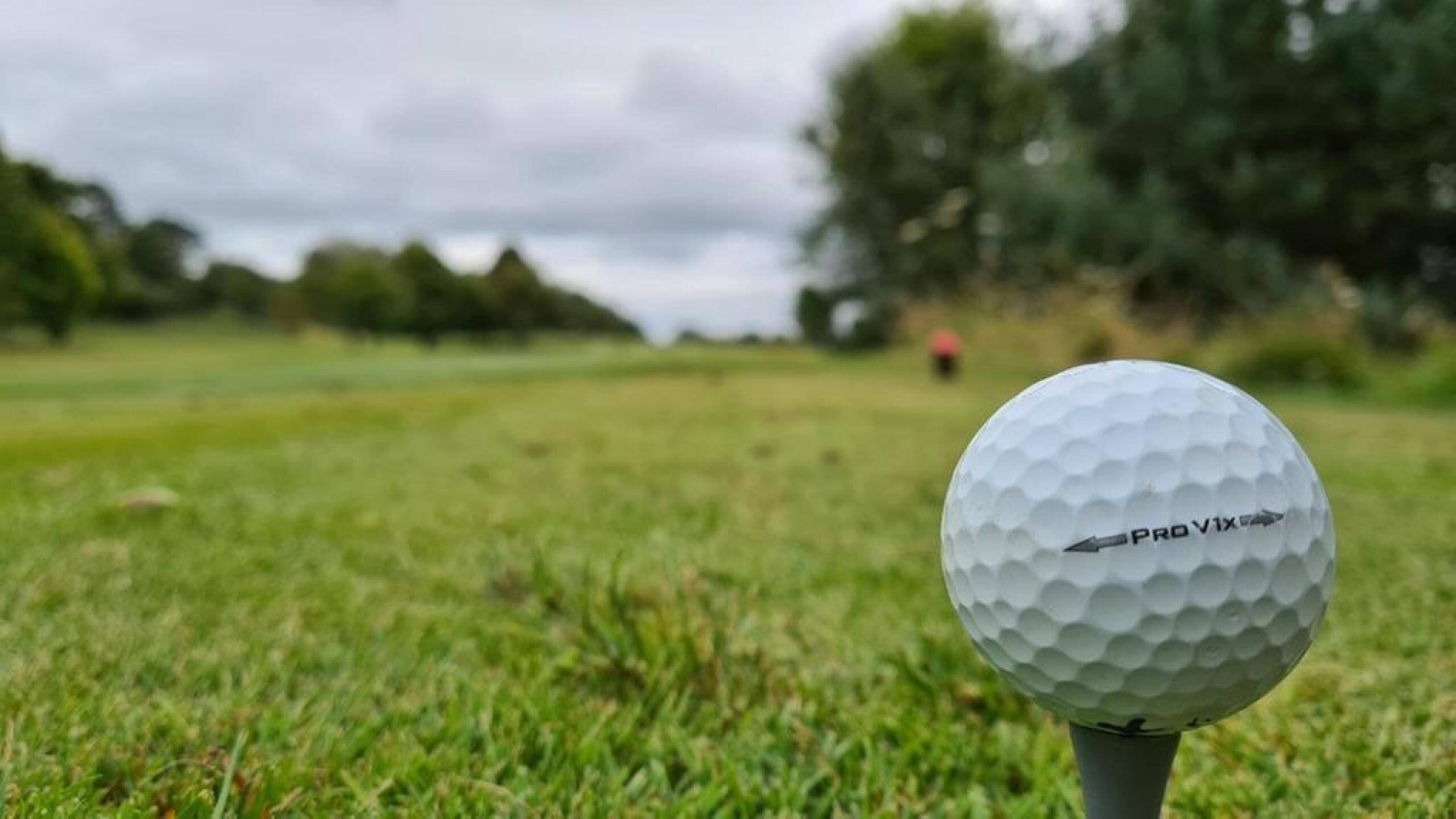 (Photo submitted by ljbd999 on 08/05/2020)