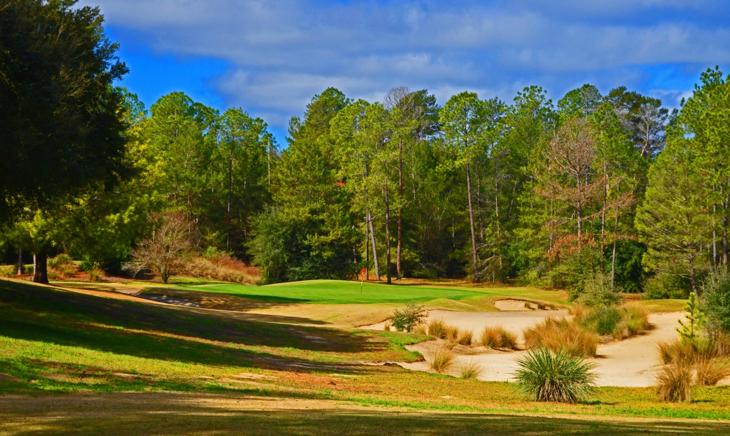 World Woods - Pine Barrens golf course - no. 7 
