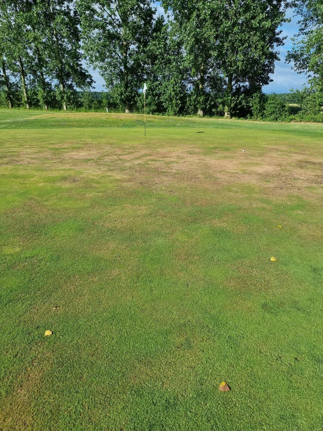 (Photo submitted by u583138782 on 06/25/2023)