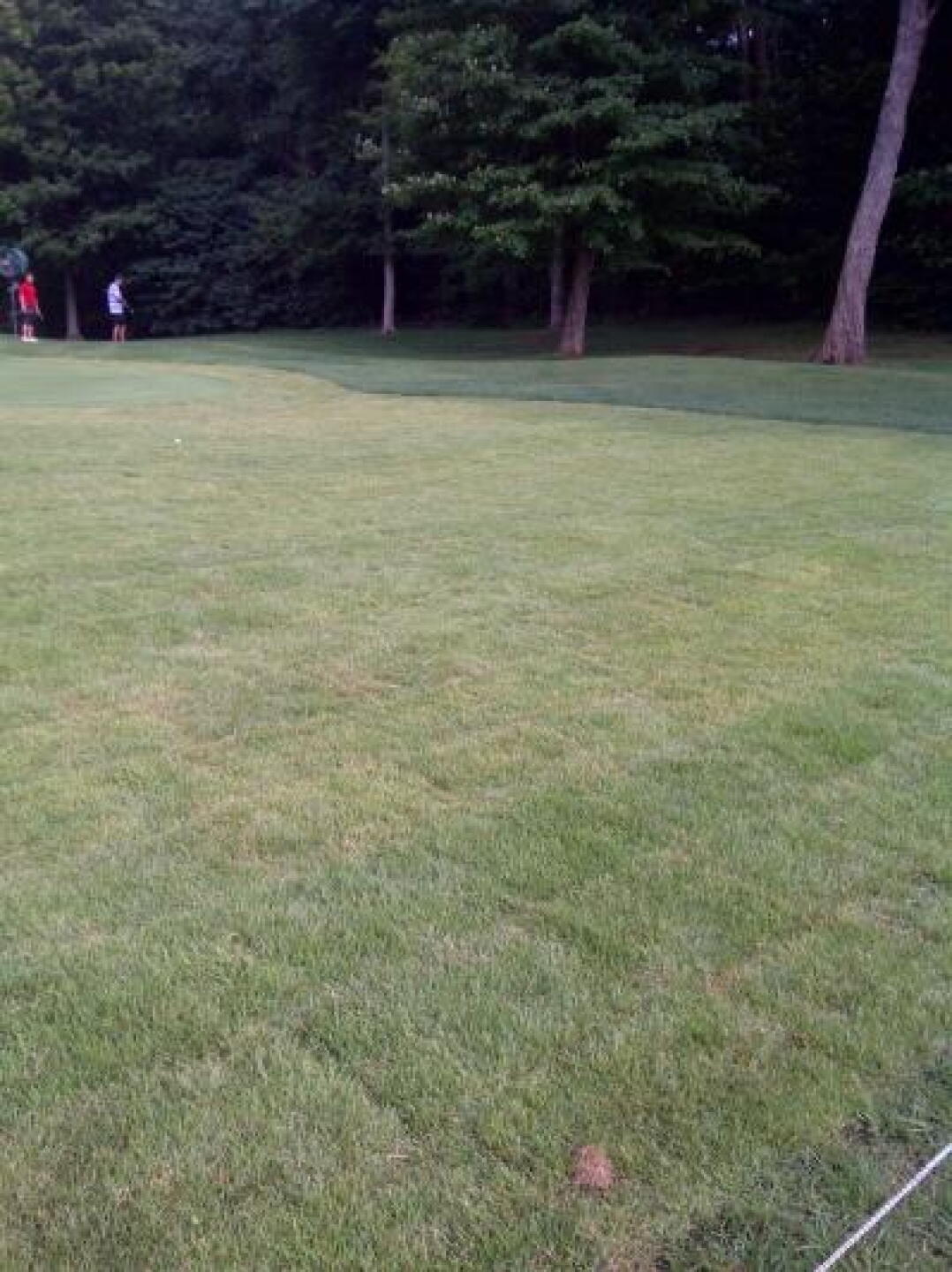 More maintenance to keep the course in immaculate condition (Photo submitted by flyvers on 07/23/2014)