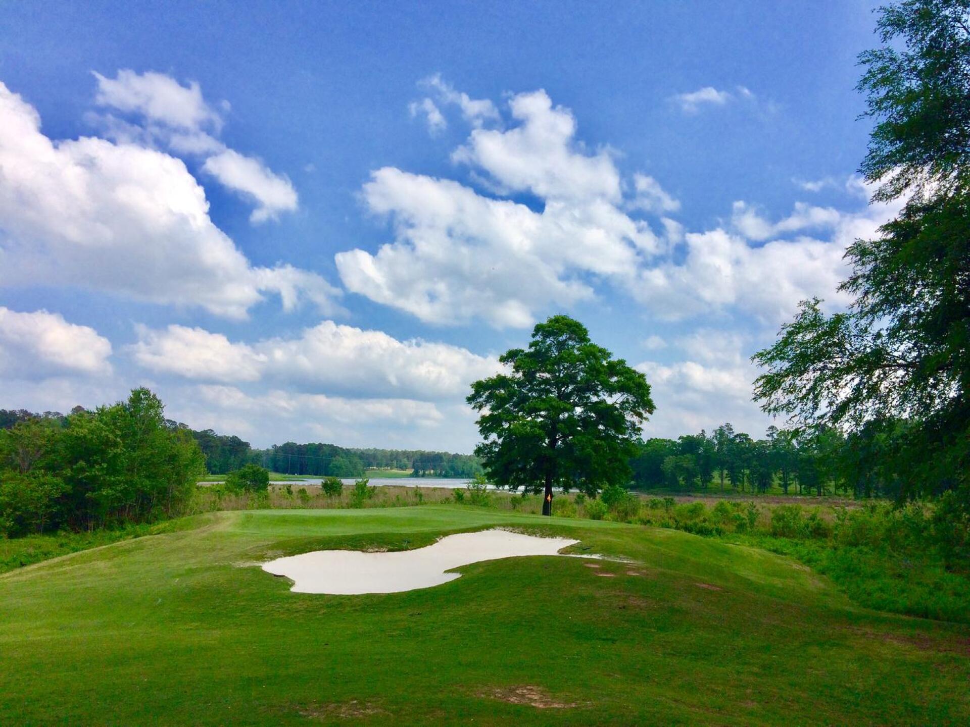 13th hole, Links course (Photo submitted by BrandonWebb on 04/29/2017)
