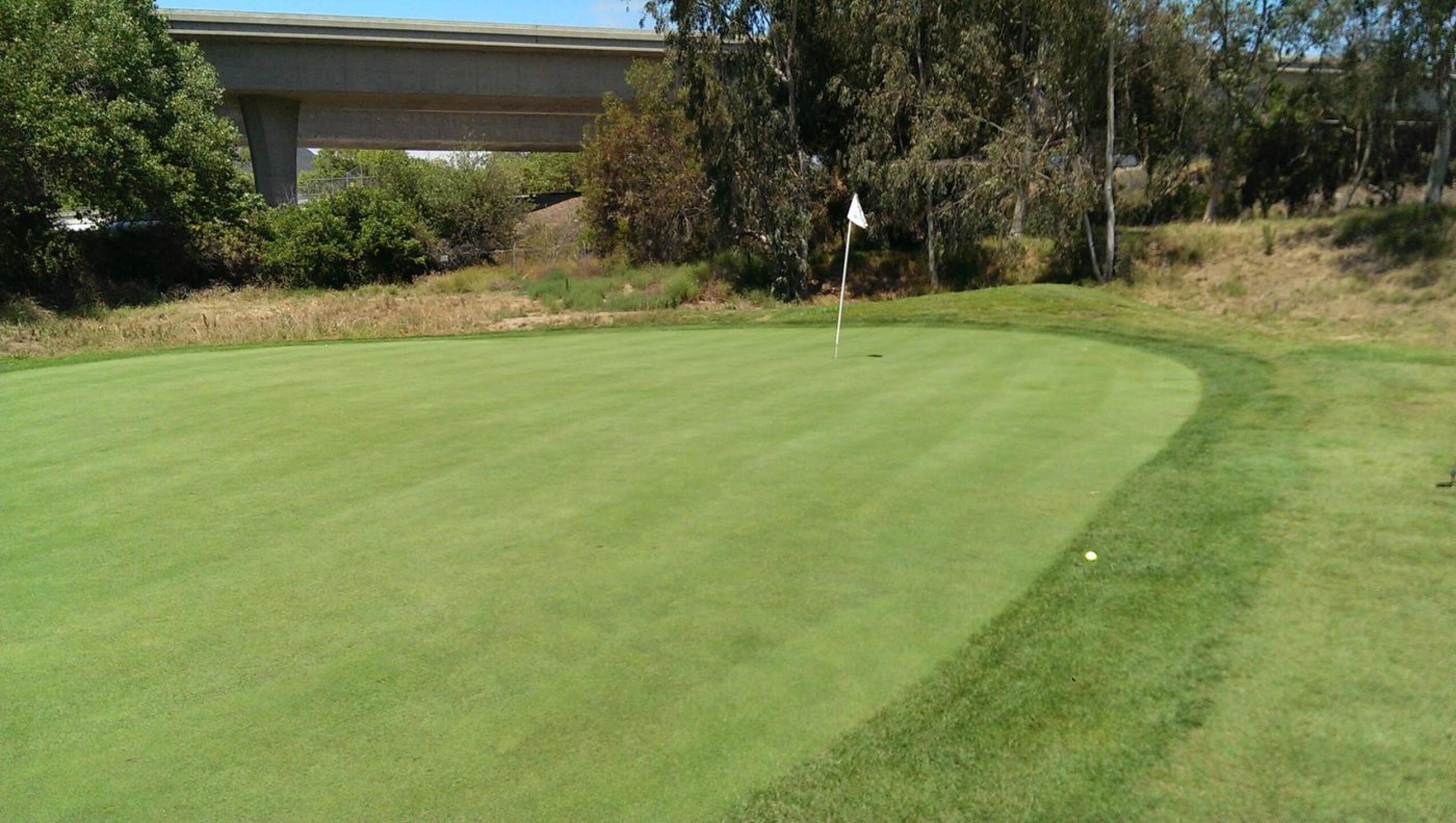 #5 green much improved! (Photo submitted by thevaporz on 06/16/2015)