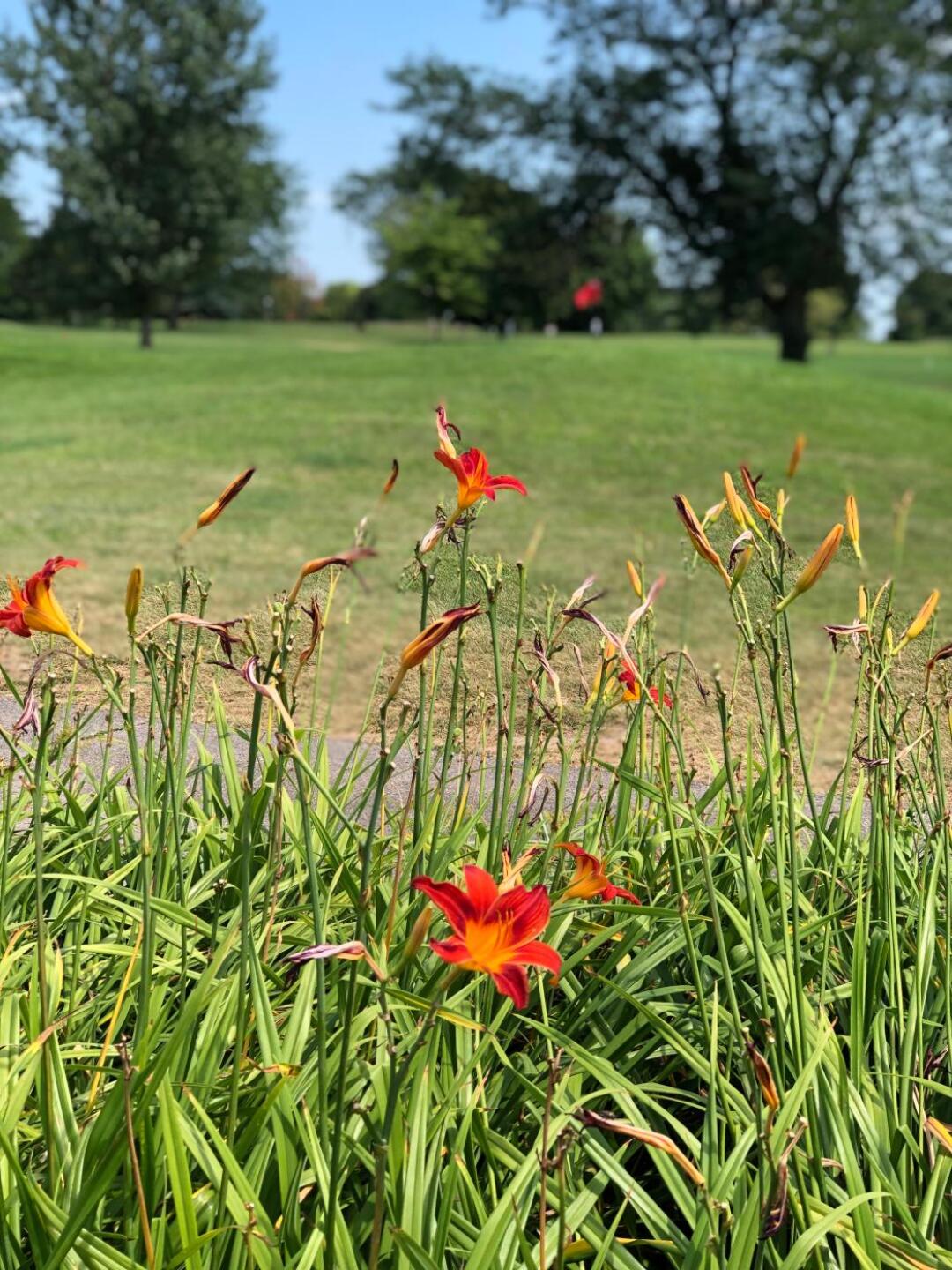 (Photo submitted by kbenson2019 on 08/03/2019)