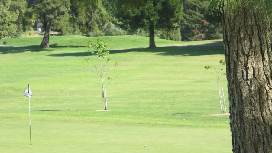 Blacklake Golf Resort