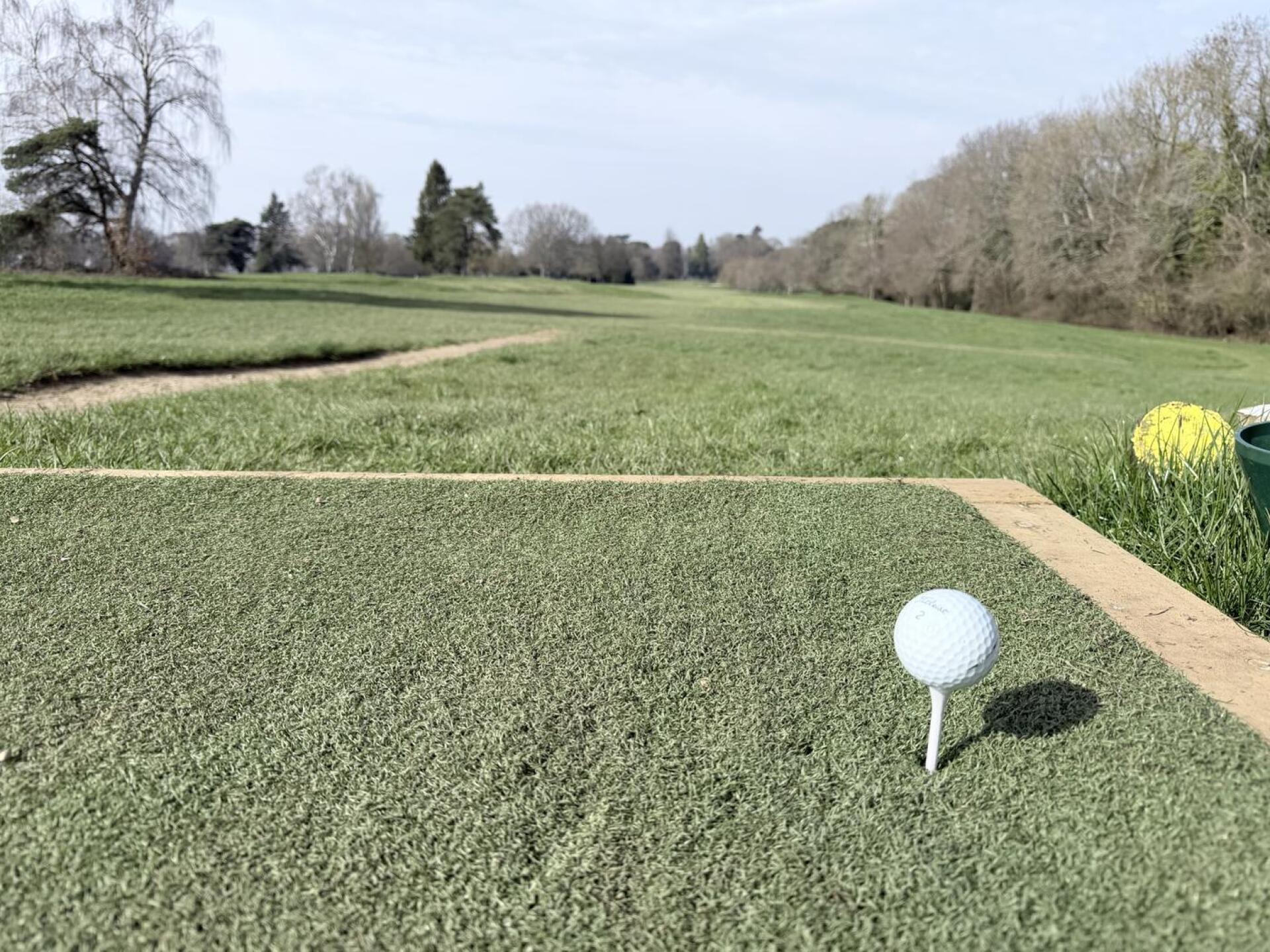 (Photo submitted by f710wzNpfGFyeCLeh7TM on 03/23/2026)