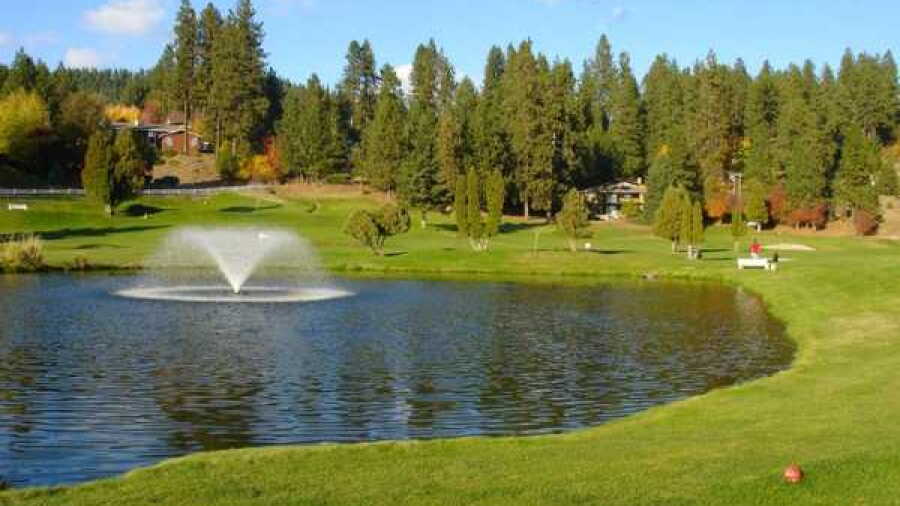 Ponderosa Springs GC: #4