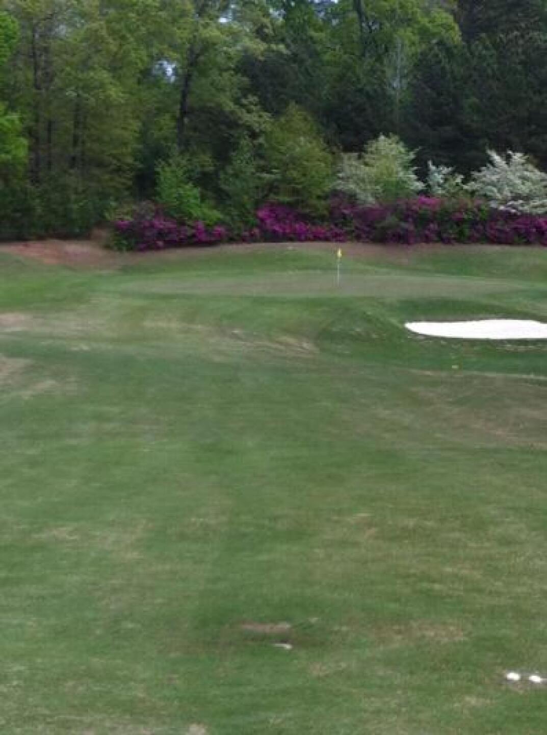 Number 10 (Photo submitted by wendy2584 on 04/23/2013)