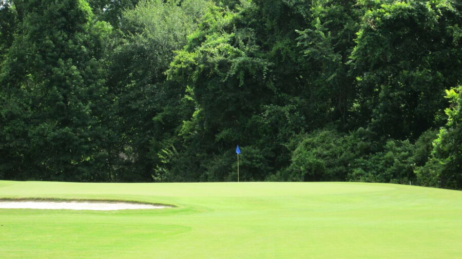 Panola Woods CC: #1