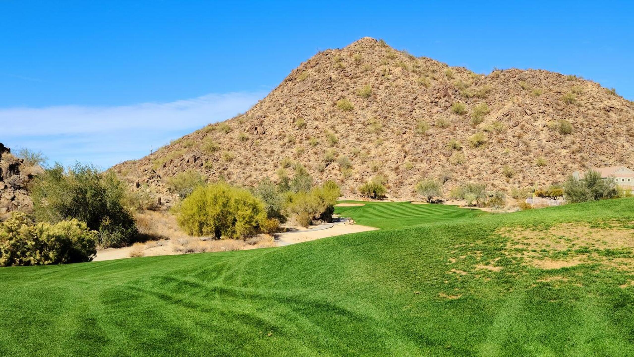 (Photo submitted by u314159543768 on 02/08/2021)