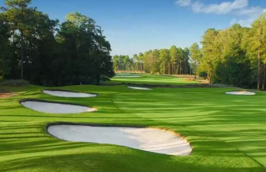 Wild Wing Plantation - Hummingbird: #7