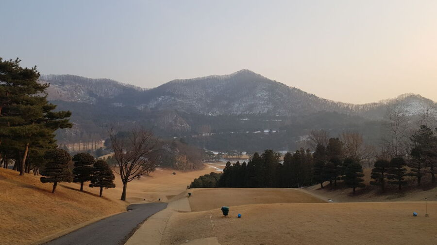 Shinwon CC - Solomon: #1