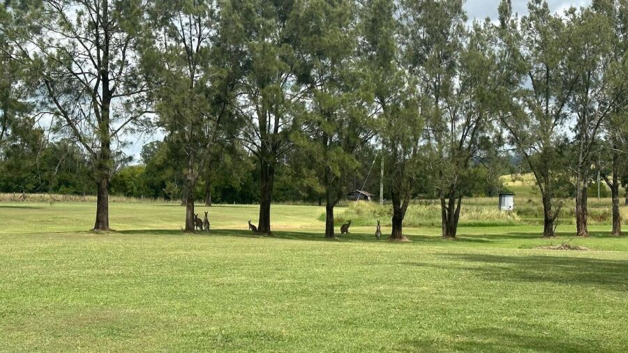 Bonalbo GC