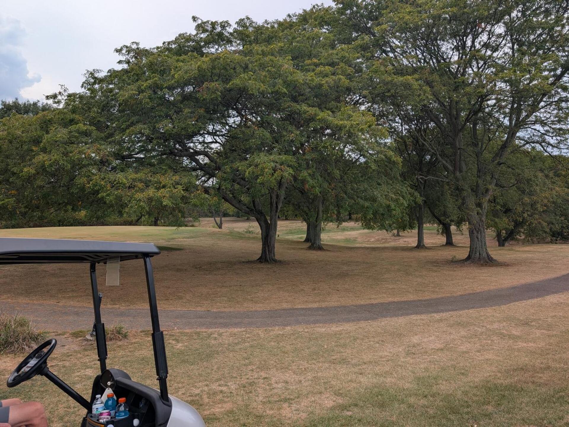 (Photo submitted by charniw on 09/22/2025)