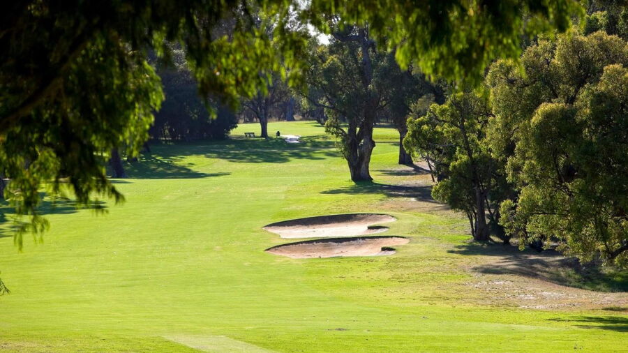  Wembley Golf Complex - Old Course: #11