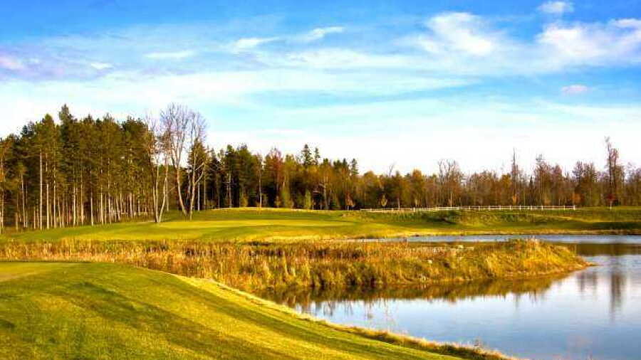 eQuinelle GC: #8