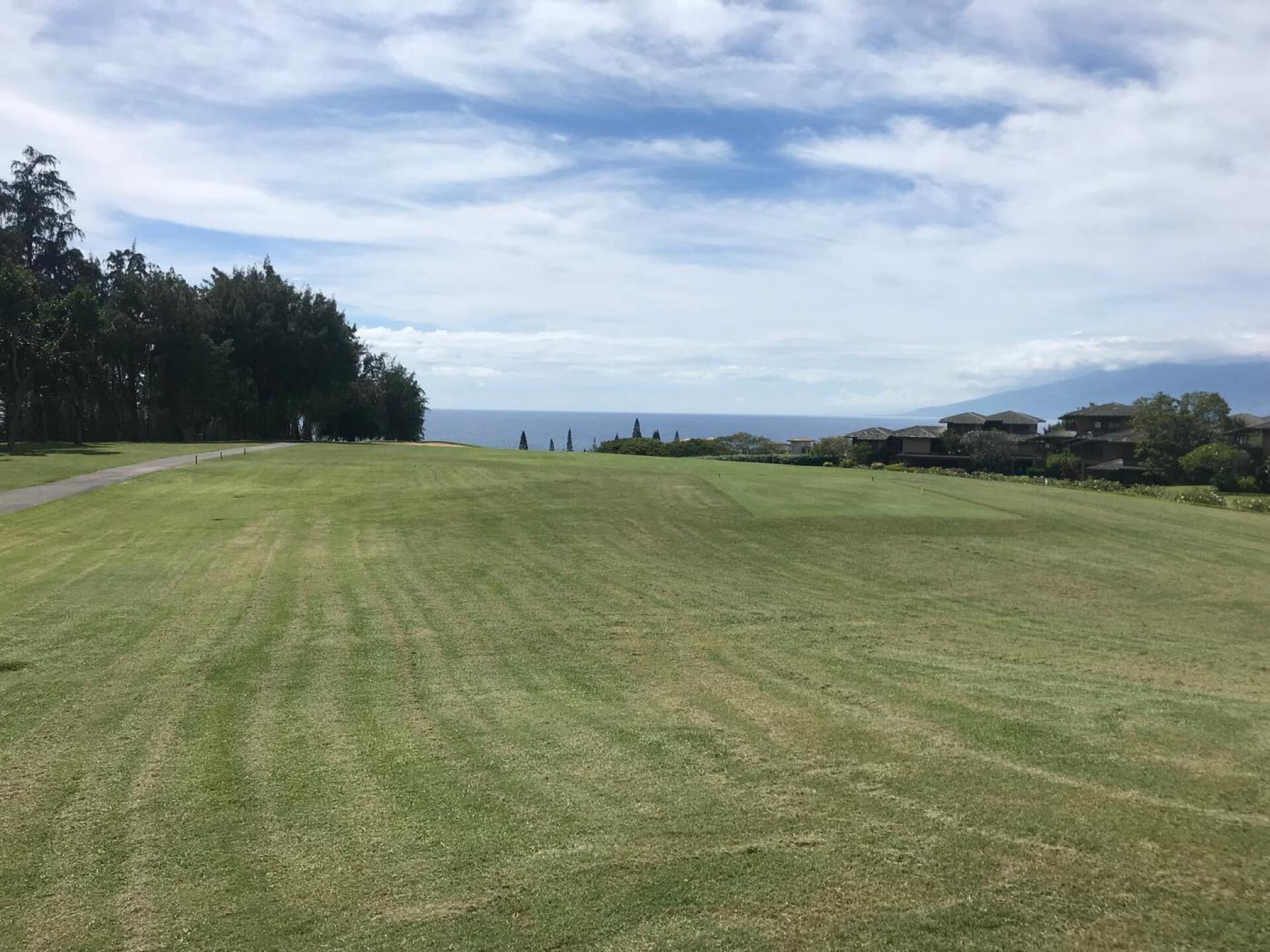 (Photo submitted by SapientCritic on 09/26/2018)