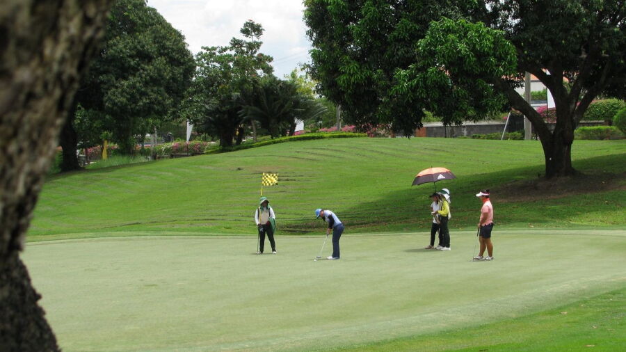 The Orchard GCC