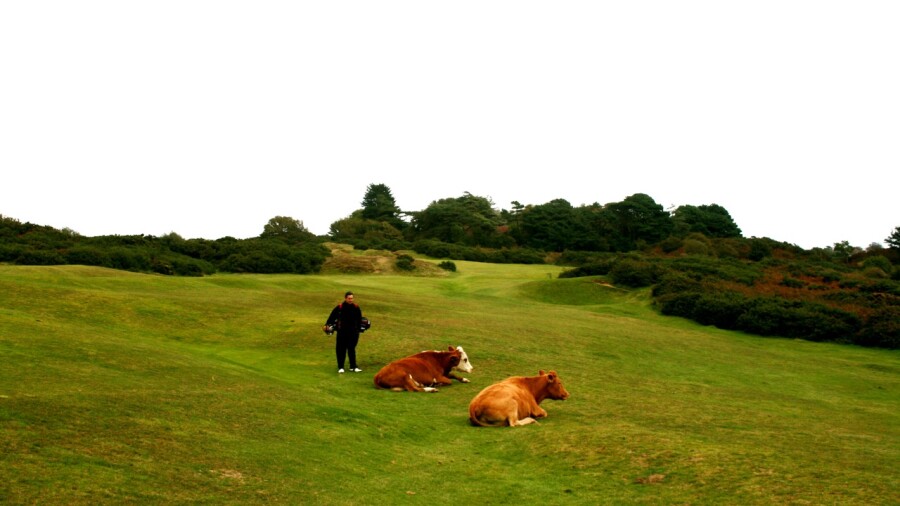 Pennard Golf Club in Wales