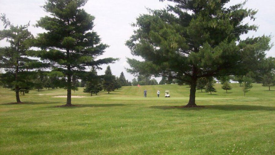 Willow Tree GC: #7