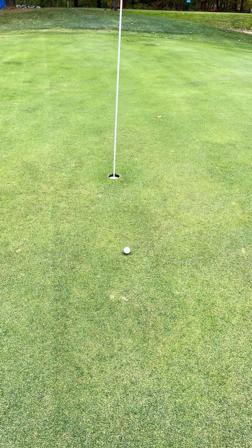 (Photo submitted by ericslisher on 07/20/2025)