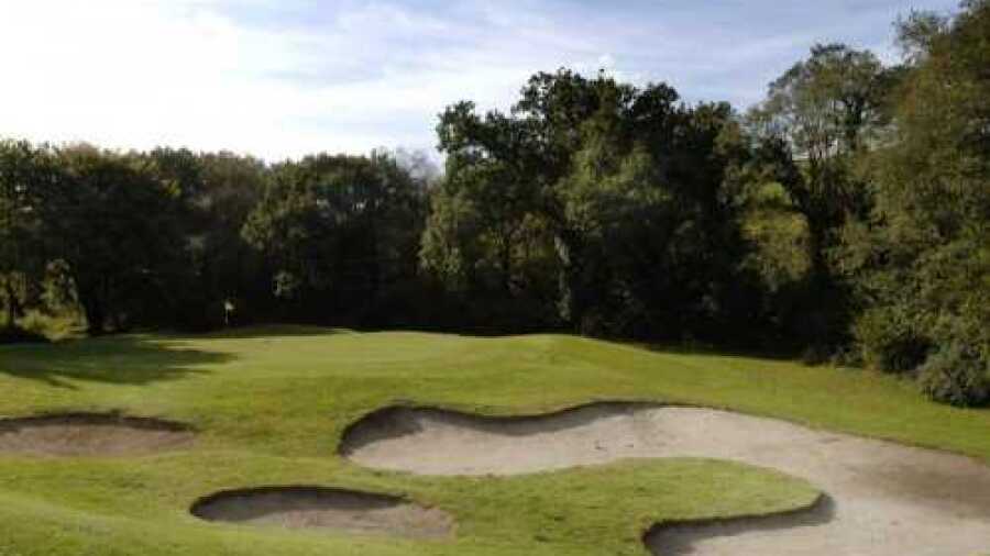Trethorne GCH: #13