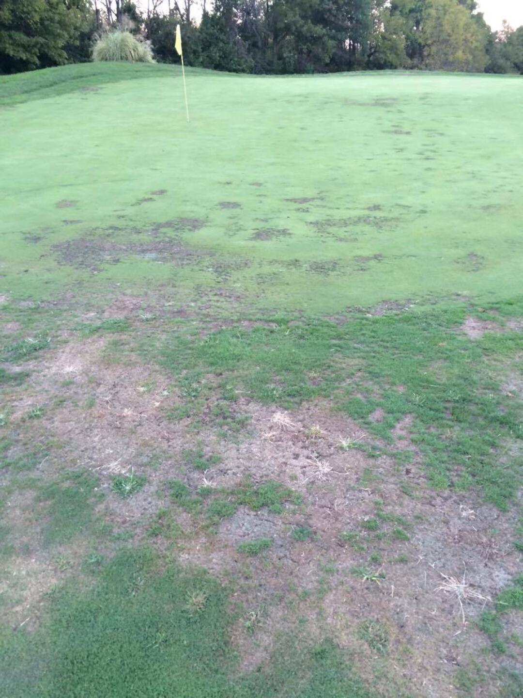 (Photo submitted by Andrew4675772 on 09/29/2016)